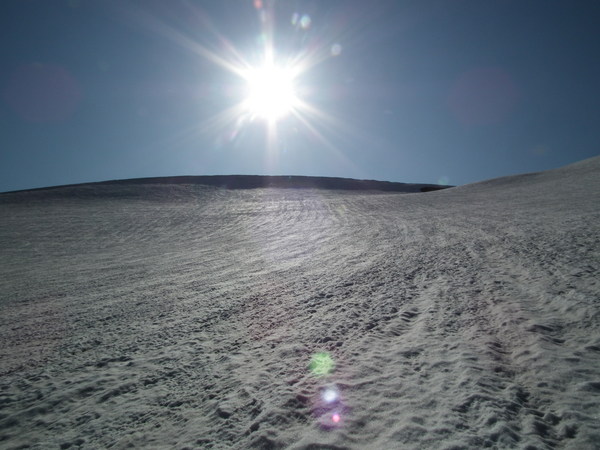 f0118332_23522946.jpg