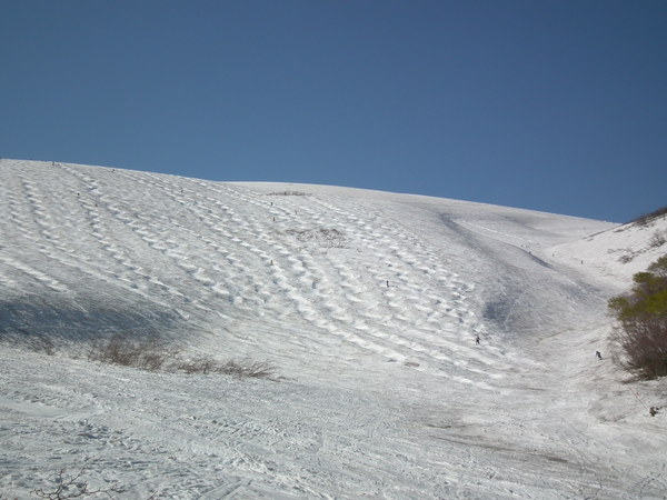 f0118332_23544962.jpg