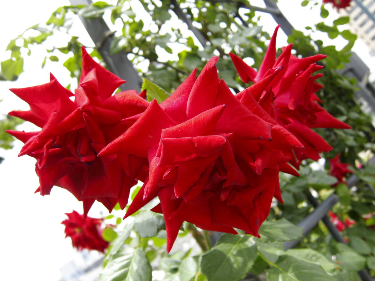 c0169436_030551.jpg