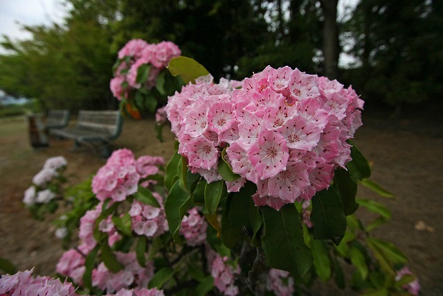 a0242438_19462528.jpg