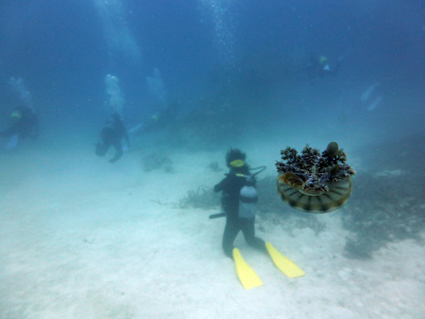 f0014842_20572224.jpg