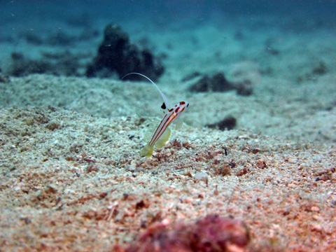 f0014842_2101621.jpg