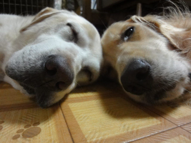 c0218443_1213021.jpg
