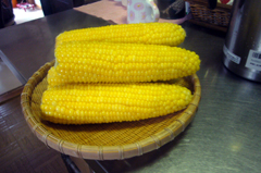 d0070047_20164143.jpg
