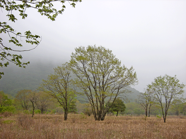a0001354_21452547.gif