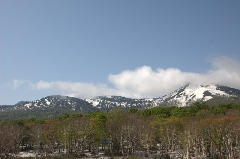 d0098057_21105133.jpg