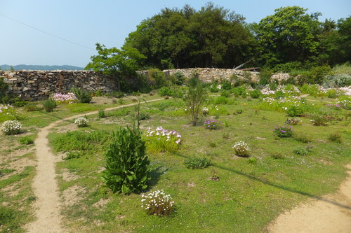 f0203260_0363170.jpg