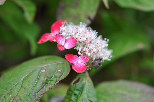 b0104861_18433510.jpg