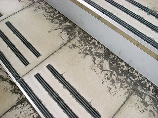 d0128465_165489.jpg