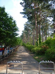 e0160568_16184412.jpg