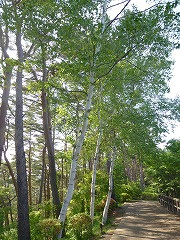 e0160568_1618496.jpg