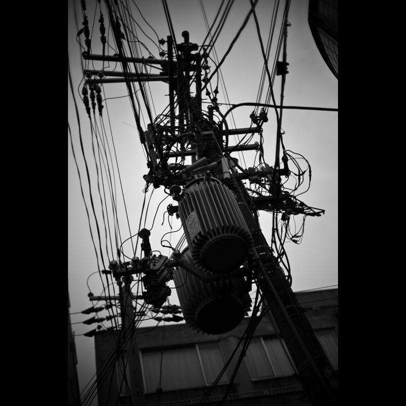 c0118173_18421594.jpg