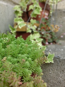 c0208974_21132871.jpg