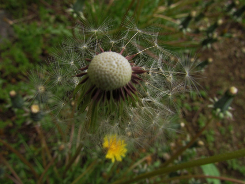 c0183777_44933100.jpg