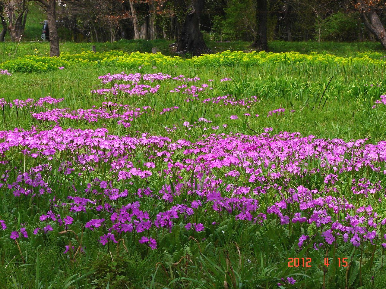 f0104277_19575227.jpg
