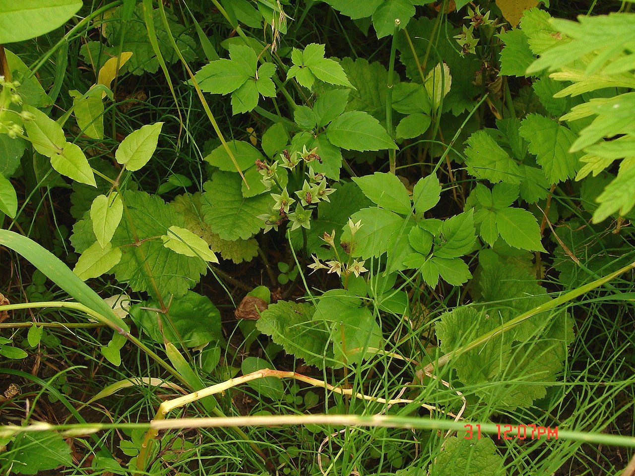 f0104277_20273938.jpg