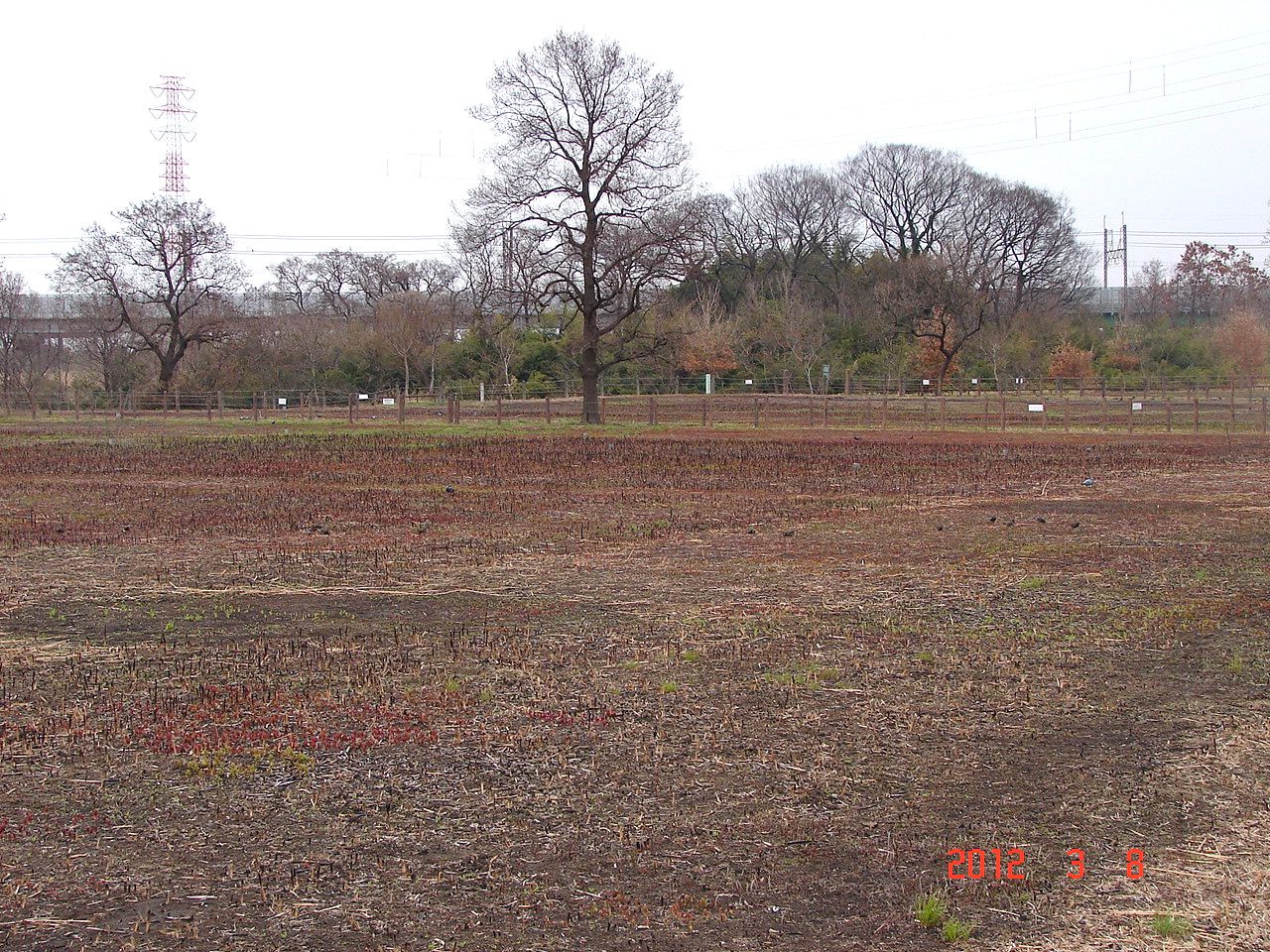f0104277_20361842.jpg