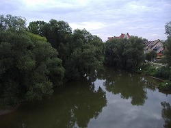 a0142083_1310735.jpg