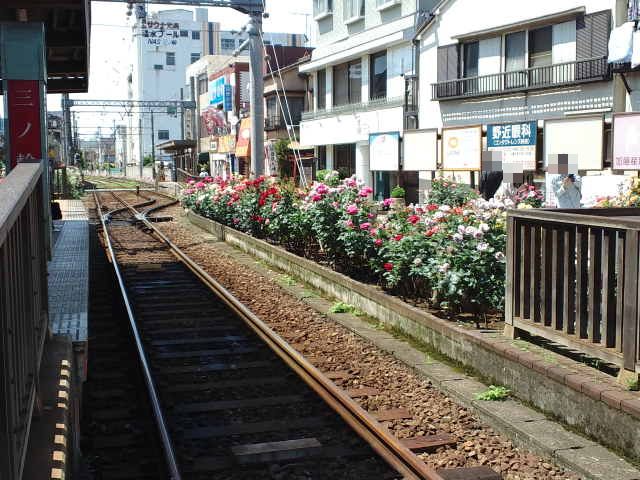 f0051283_1342066.jpg