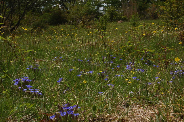 b0203588_16112245.jpg