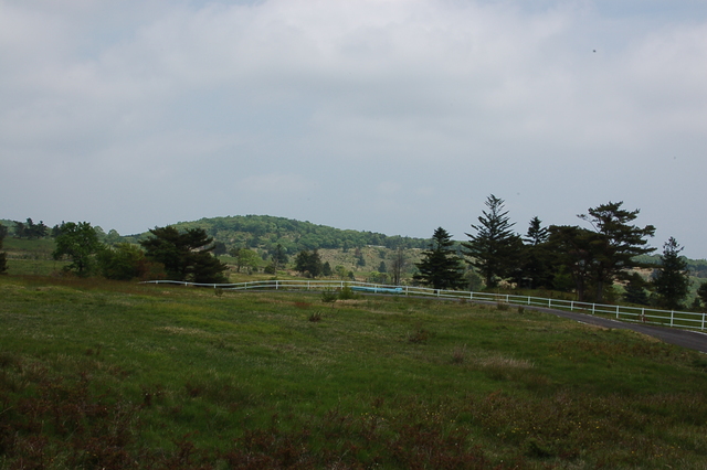 b0203588_16155628.jpg