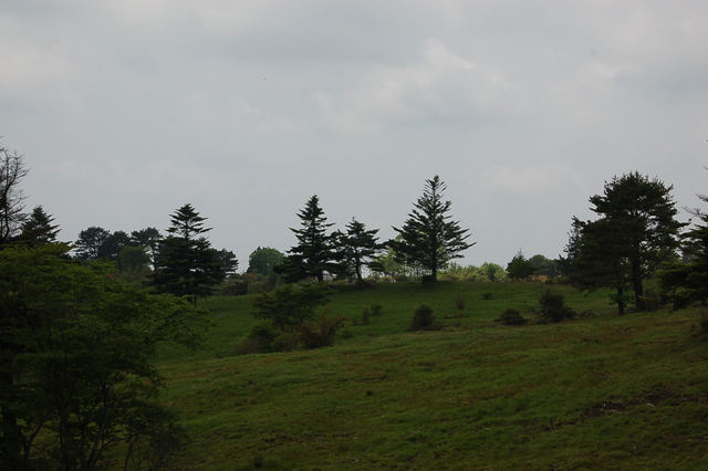 b0203588_16163043.jpg
