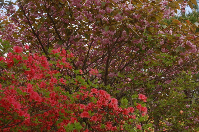 b0203588_16183392.jpg