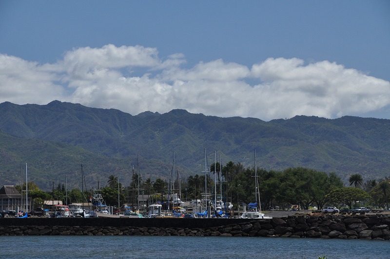 c0240388_1105044.jpg