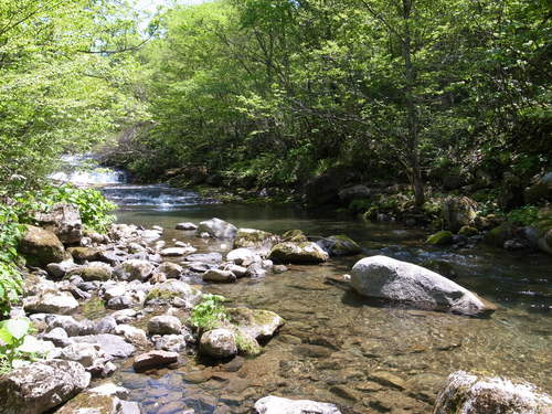 b0178889_23324915.jpg