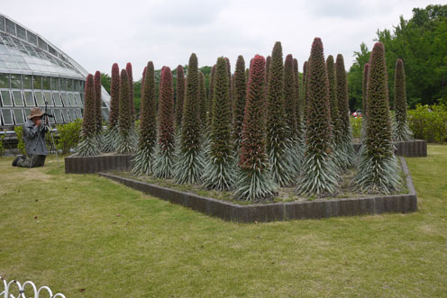 f0222692_21472756.jpg