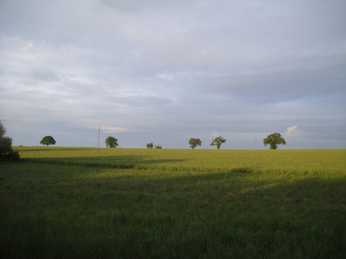 e0203793_21262630.jpg