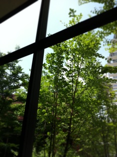 b0189200_20553044.jpg