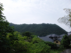 d0240201_12394630.jpg