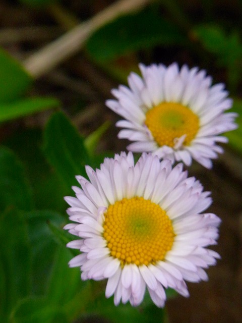 f0157901_1117644.jpg