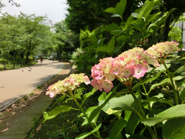 b0190603_14112296.jpg