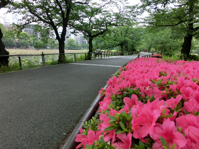 b0190603_14204737.jpg