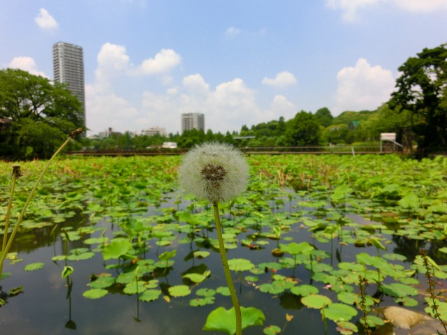 b0190603_14332486.jpg
