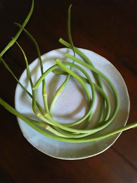 c0151303_9385687.jpg