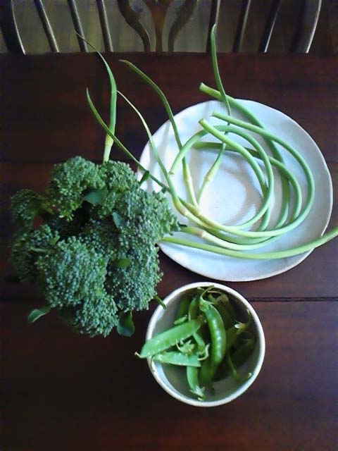 c0151303_9394939.jpg