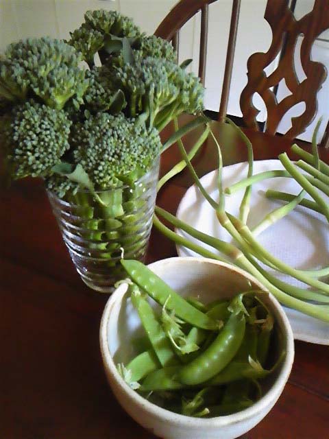 c0151303_941443.jpg