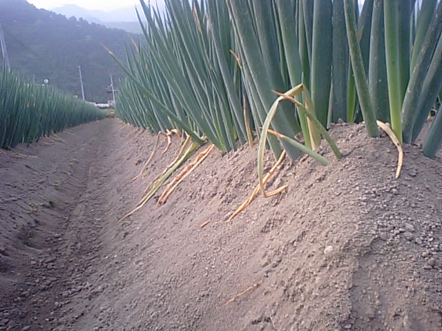 f0231709_17181796.jpg