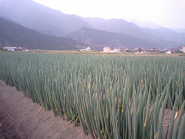 f0231709_17194720.jpg