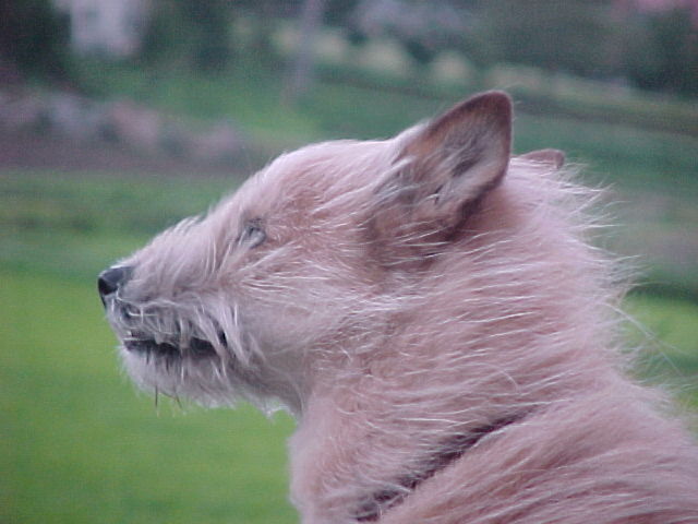 b0003512_15222387.jpg