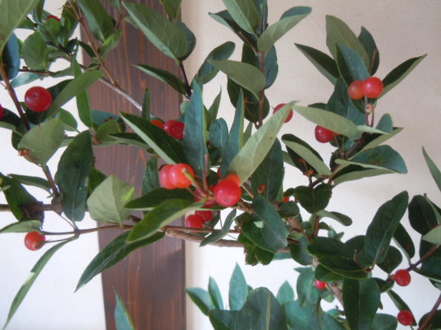 f0164515_0252786.jpg