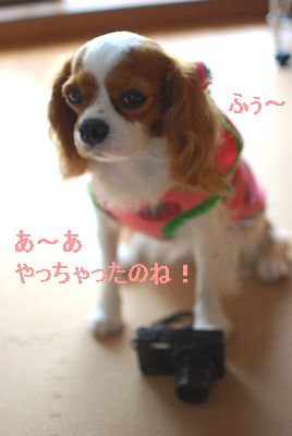 f0214121_2157140.jpg