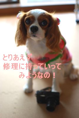 f0214121_21585527.jpg