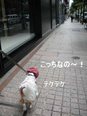 f0214121_221454.jpg