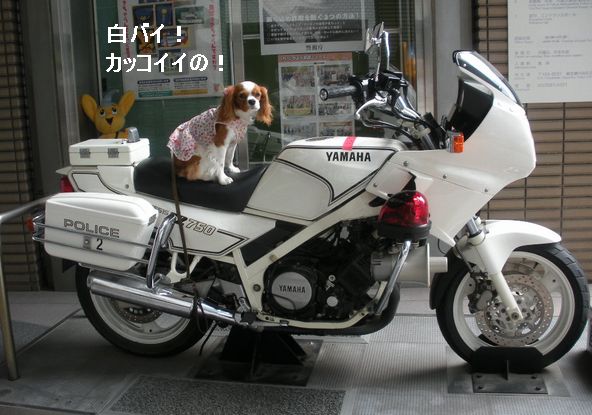 f0214121_22211255.jpg