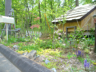 f0188324_857845.jpg