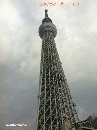 b0102728_1071574.jpg